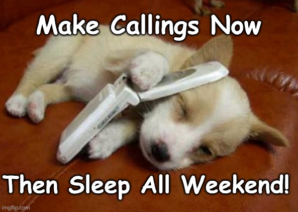 Pup Make Calls then Sleep Wkend | Make Callings Now; Then Sleep All Weekend! | image tagged in pup call now,pup sleep all wkend | made w/ Imgflip meme maker