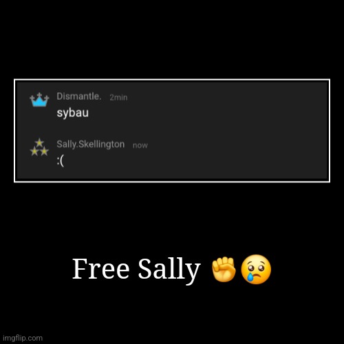 Free Sally ✊️? | | image tagged in funny,demotivationals | made w/ Imgflip demotivational maker