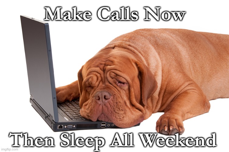 Bloodhound Make Calls then Sleep | Make Calls Now; Then Sleep All Weekend | image tagged in bloodhound sleep,bloodhound make calls | made w/ Imgflip meme maker