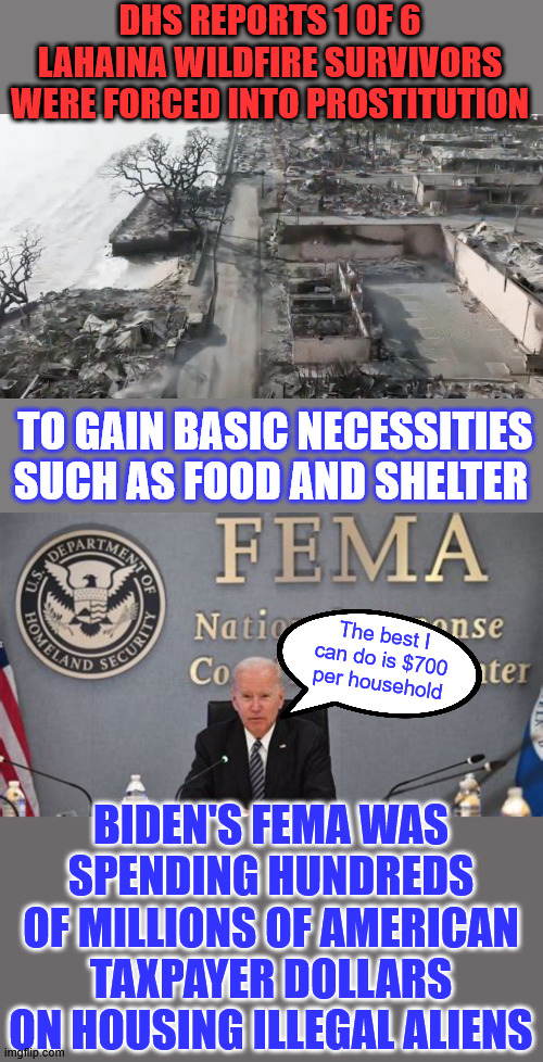 Biden and Mayorkas used FEMA as a piggy bank for illegal aliens | DHS REPORTS 1 OF 6 LAHAINA WILDFIRE SURVIVORS WERE FORCED INTO PROSTITUTION; TO GAIN BASIC NECESSITIES SUCH AS FOOD AND SHELTER; The best I can do is $700 per household; BIDEN'S FEMA WAS SPENDING HUNDREDS OF MILLIONS OF AMERICAN TAXPAYER DOLLARS ON HOUSING ILLEGAL ALIENS | image tagged in biden,mayorkas,prioritized,non citizens,americans suffered,fema | made w/ Imgflip meme maker