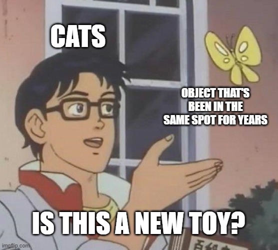 Is This A Pigeon | CATS; OBJECT THAT'S BEEN IN THE SAME SPOT FOR YEARS; IS THIS A NEW TOY? | image tagged in memes,is this a pigeon,cats | made w/ Imgflip meme maker