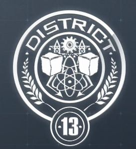 district 13 Blank Meme Template