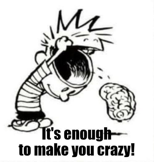 Have you lost your mind | It's enough to make you crazy! | image tagged in have you lost your mind | made w/ Imgflip meme maker