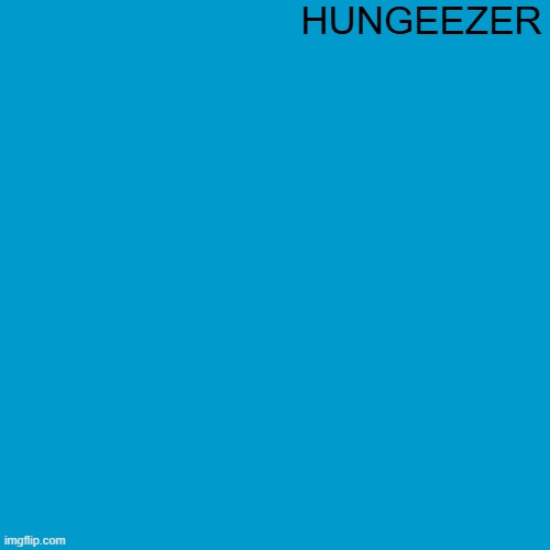 Blank Weezer blue album edit | HUNGEEZER | image tagged in blank weezer blue album edit | made w/ Imgflip meme maker
