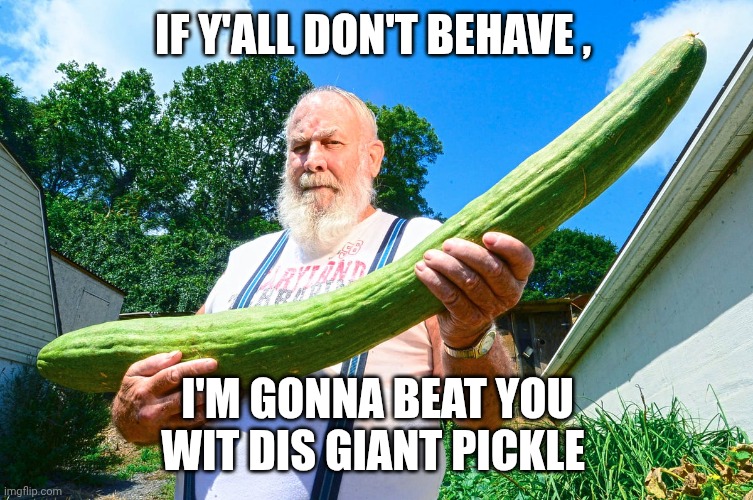 giant vegetable meme | IF Y'ALL DON'T BEHAVE , I'M GONNA BEAT YOU WIT DIS GIANT PICKLE | image tagged in vegetables | made w/ Imgflip meme maker