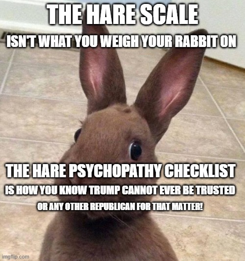 Hare Test | THE HARE SCALE; ISN'T WHAT YOU WEIGH YOUR RABBIT ON; THE HARE PSYCHOPATHY CHECKLIST; IS HOW YOU KNOW TRUMP CANNOT EVER BE TRUSTED; OR ANY OTHER REPUBLICAN FOR THAT MATTER! | image tagged in really rabbit | made w/ Imgflip meme maker