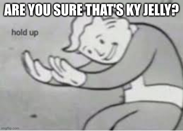 Hol up | ARE YOU SURE THAT'S KY JELLY? | image tagged in hol up | made w/ Imgflip meme maker