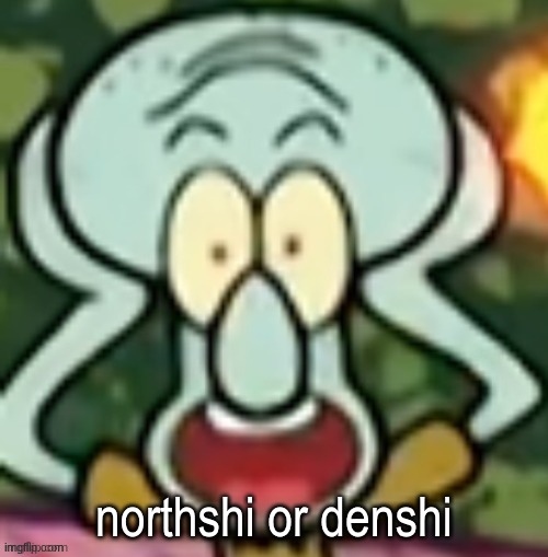 Flabbergasted Squidward | northshi or denshi | image tagged in flabbergasted squidward | made w/ Imgflip meme maker