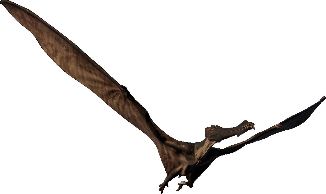Cearadactylus (JWE Design) Blank Meme Template