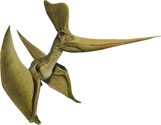 Geosternbergia (JWE Design) Blank Meme Template