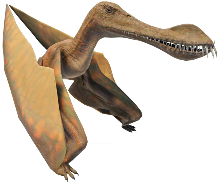 Maaradactylus (JWE Design) Blank Meme Template