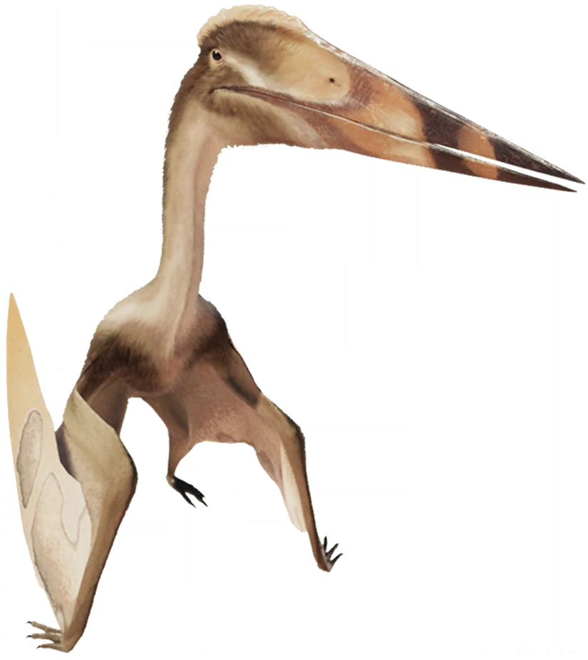 Thanatosdrakon (JWE Design) Blank Meme Template