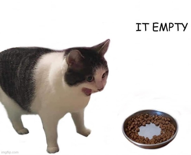 Why is it empty | image tagged in why is it empty | made w/ Imgflip meme maker
