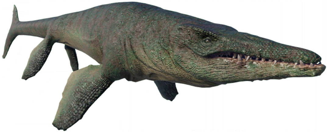 Tylosaurus (JWE Design) Blank Meme Template