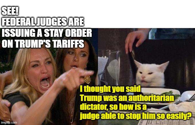 Woman Yelling At Cat | SEE! 
FEDERAL JUDGES ARE ISSUING A STAY ORDER ON TRUMP'S TARIFFS; I thought you said Trump was an authoritarian dictator, so how is a judge able to stop him so easily? | image tagged in memes,woman yelling at cat | made w/ Imgflip meme maker