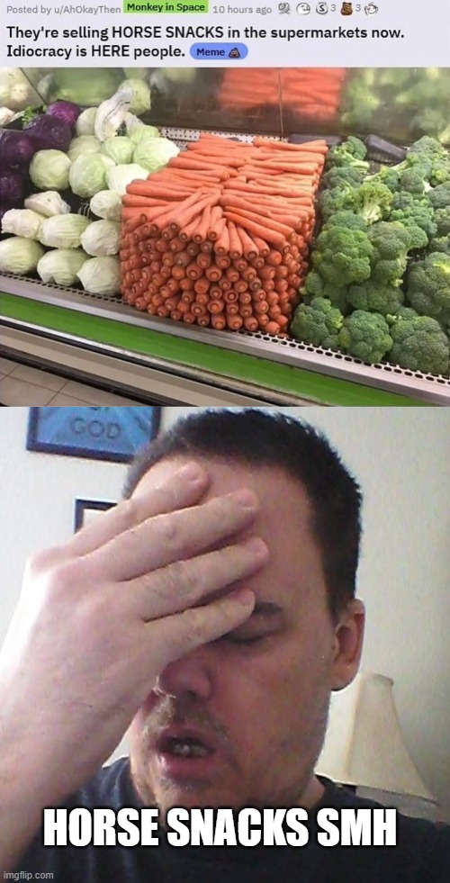 Horse Snacks? | HORSE SNACKS SMH | image tagged in face palm | made w/ Imgflip meme maker