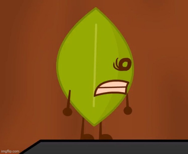 Leafy | image tagged in bfdi wat face | made w/ Imgflip meme maker