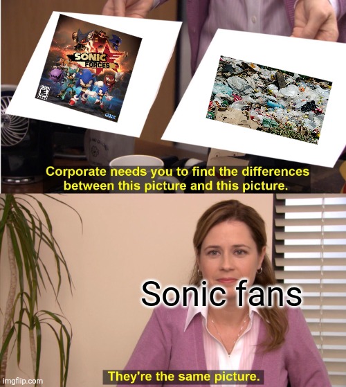 They're The Same Picture | Sonic fans | image tagged in memes,they're the same picture | made w/ Imgflip meme maker