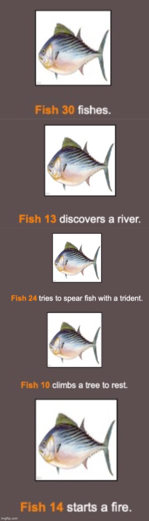 Dumbass fish collection from day 2 and night 2 | made w/ Imgflip meme maker