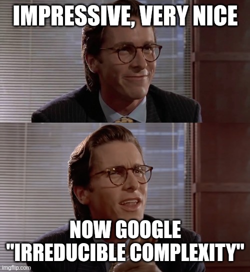 Impressive, very nice | IMPRESSIVE, VERY NICE NOW GOOGLE "IRREDUCIBLE COMPLEXITY" | image tagged in impressive very nice | made w/ Imgflip meme maker