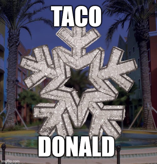 Taco Donald | TACO; DONALD | image tagged in donald trump,snowflake,taco | made w/ Imgflip meme maker