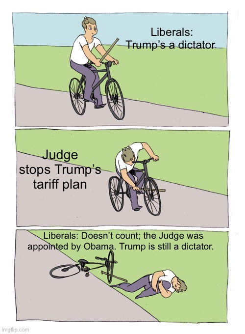Bike Fall Meme | Liberals: Trump’s a dictator Judge stops Trump’s tariff plan Liberals: Doesn’t count; the Judge was appointed by Obama. Trump is still a dic | image tagged in memes,bike fall | made w/ Imgflip meme maker