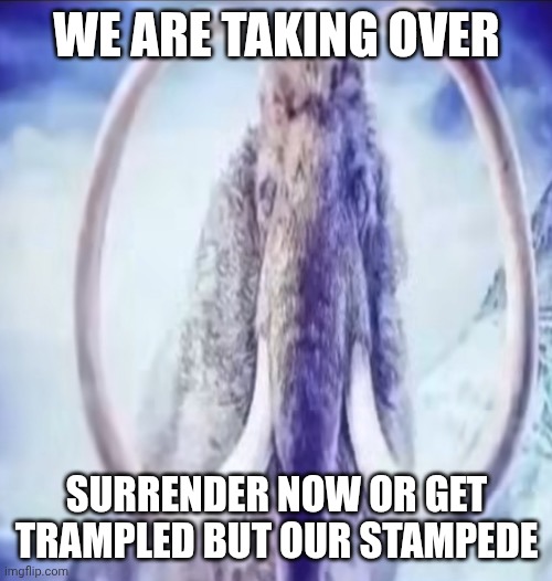Mammoth | WE ARE TAKING OVER SURRENDER NOW OR GET TRAMPLED BUT OUR STAMPEDE | image tagged in mammoth | made w/ Imgflip meme maker