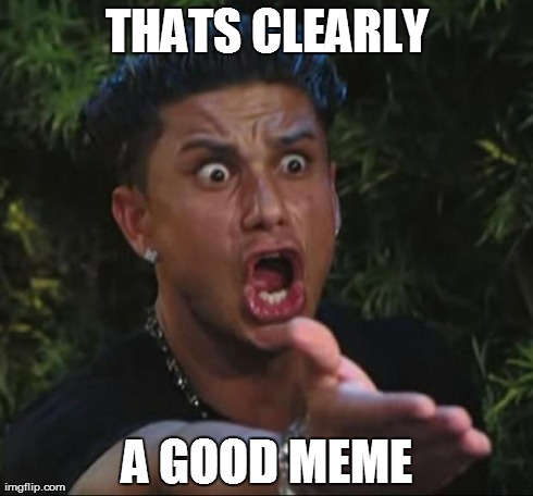 When someone dislikes a funny meme | THATS CLEARLY A GOOD MEME | image tagged in memes,dj pauly d | made w/ Imgflip meme maker