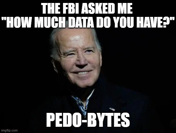 Joke Biden | THE FBI ASKED ME 
"HOW MUCH DATA DO YOU HAVE?"; PEDO-BYTES | image tagged in joke biden | made w/ Imgflip meme maker