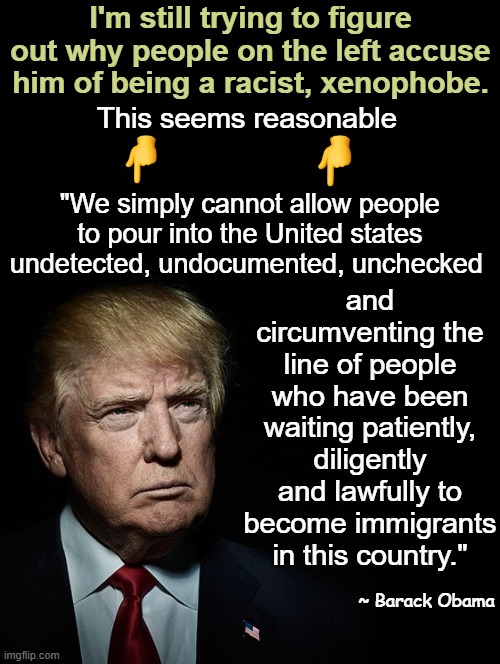 A presidential Quote on deportation. | I'm still trying to figure out why people on the left accuse him of being a racist, xenophobe. This seems reasonable; "We simply cannot allow people to pour into the United states undetected, undocumented, unchecked; and circumventing the line of people who have been waiting patiently, diligently and lawfully to become immigrants in this country."; ~ Barack Obama | image tagged in double long black template,donald trump,deportation,xenophobe,illegal immigrants | made w/ Imgflip meme maker