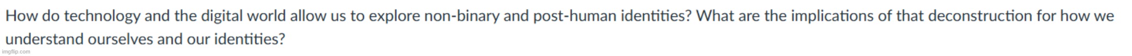 STOP WHAT THE FUCK IS A "POST HUMAN IDENTITY" | made w/ Imgflip meme maker