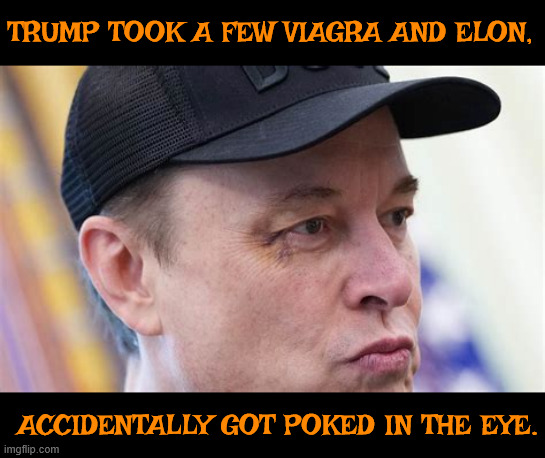 Bye Pokey | TRUMP TOOK A FEW VIAGRA AND ELON, ACCIDENTALLY GOT POKED IN THE EYE. | image tagged in bye pokey,balck and a brown nose to go,doge a bullet but the knob didn't,musky smell,deport yourself,maga musk | made w/ Imgflip meme maker