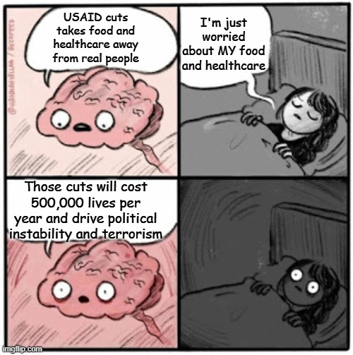 If you choose to argue about abortion in the comments, you'll look ridiculous | I'm just worried about MY food and healthcare; USAID cuts takes food and healthcare away from real people; Those cuts will cost 500,000 lives per year and drive political instability and terrorism | image tagged in brain before sleep,deaths,children,famine,usaid | made w/ Imgflip meme maker