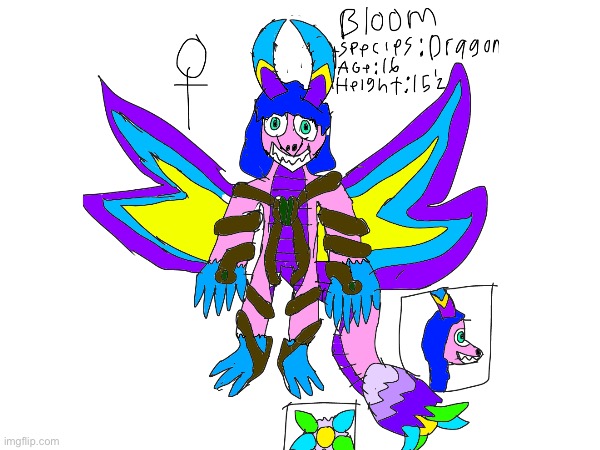 Bloom the Dragon (6th Fursona) | made w/ Imgflip meme maker