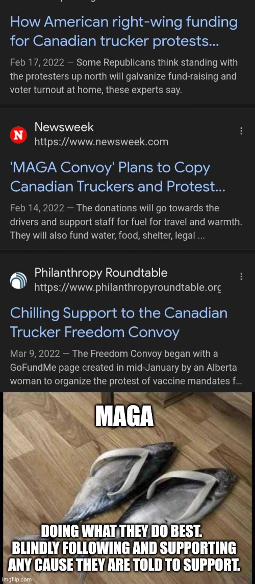 MAGA DOING WHAT THEY DO BEST.   BLINDLY FOLLOWING AND SUPPORTING ANY CAUSE THEY ARE TOLD TO SUPPORT. | image tagged in fish flops | made w/ Imgflip meme maker