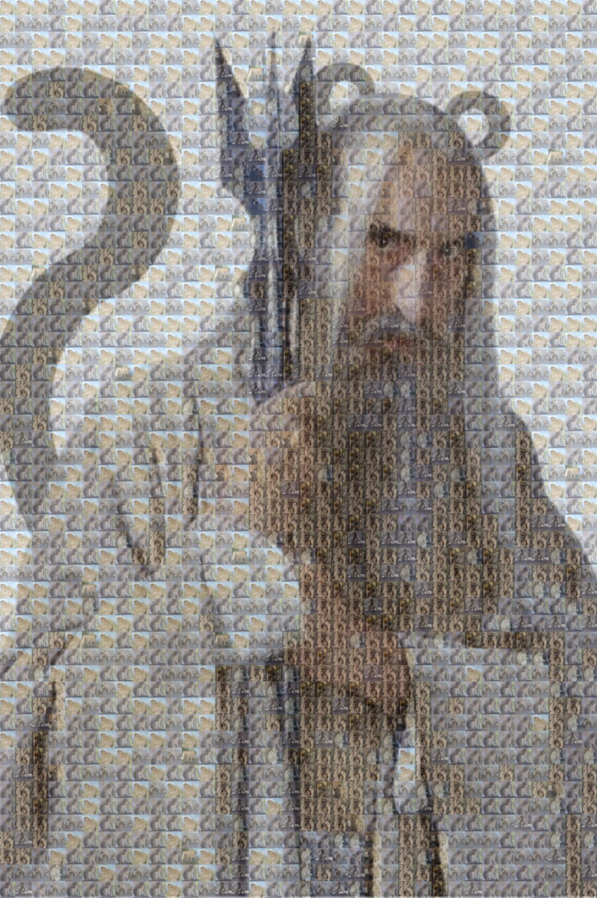 Saruman Blank Meme Template