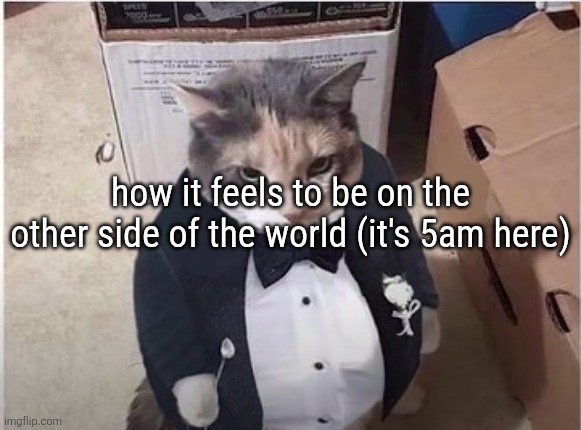Fancy Cat | how it feels to be on the other side of the world (it's 5am here) | image tagged in fancy cat | made w/ Imgflip meme maker