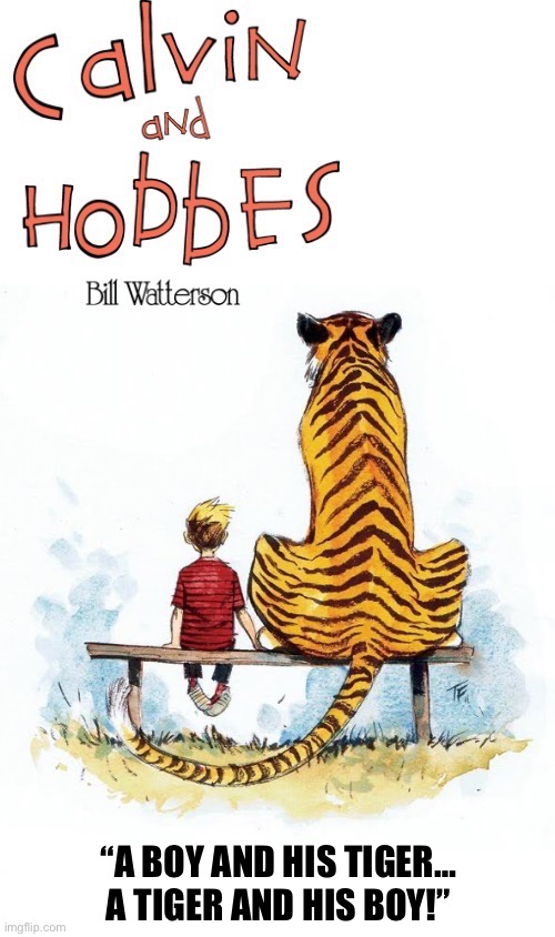 Friends forever… | “A BOY AND HIS TIGER…
A TIGER AND HIS BOY!” | image tagged in calvin and hobbes,tribute | made w/ Imgflip meme maker