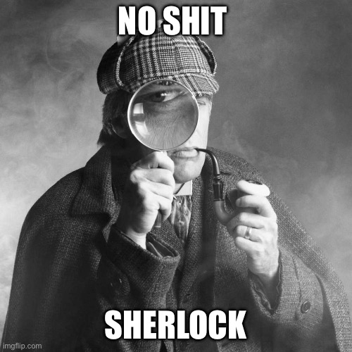 Sherlock Holmes | NO SHIT; SHERLOCK | image tagged in sherlock holmes | made w/ Imgflip meme maker