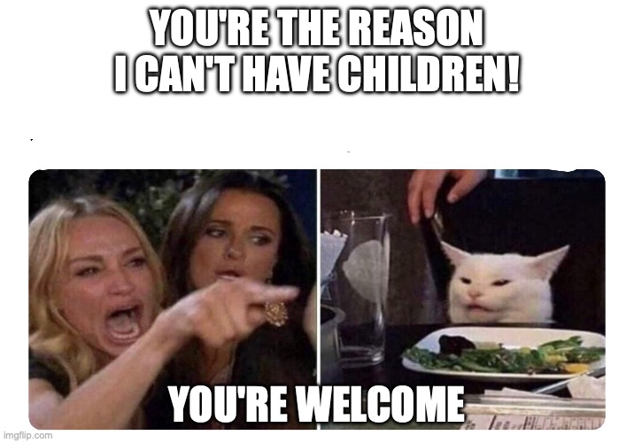 Housewives cat | YOU'RE THE REASON I CAN'T HAVE CHILDREN! YOU'RE WELCOME | image tagged in housewives cat | made w/ Imgflip meme maker