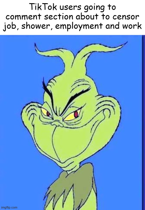 You can't even censor good words | TikTok users going to comment section about to censor job, shower, employment and work | image tagged in good grinch,memes,tiktok | made w/ Imgflip meme maker