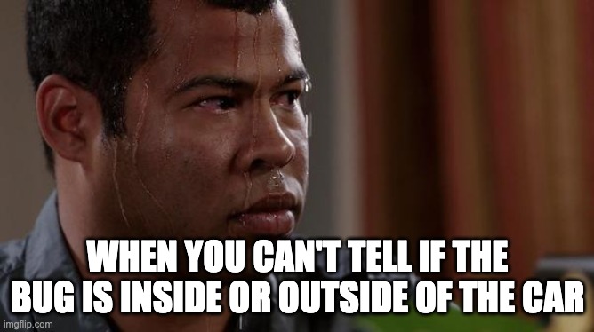 Real tho | WHEN YOU CAN'T TELL IF THE BUG IS INSIDE OR OUTSIDE OF THE CAR | image tagged in sweating bullets | made w/ Imgflip meme maker