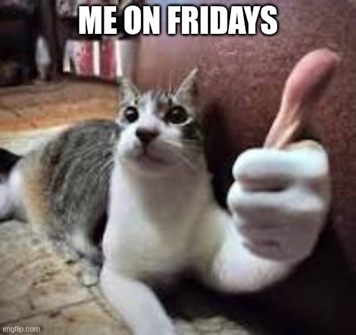 fridays | ME ON FRIDAYS | image tagged in meme | made w/ Imgflip meme maker