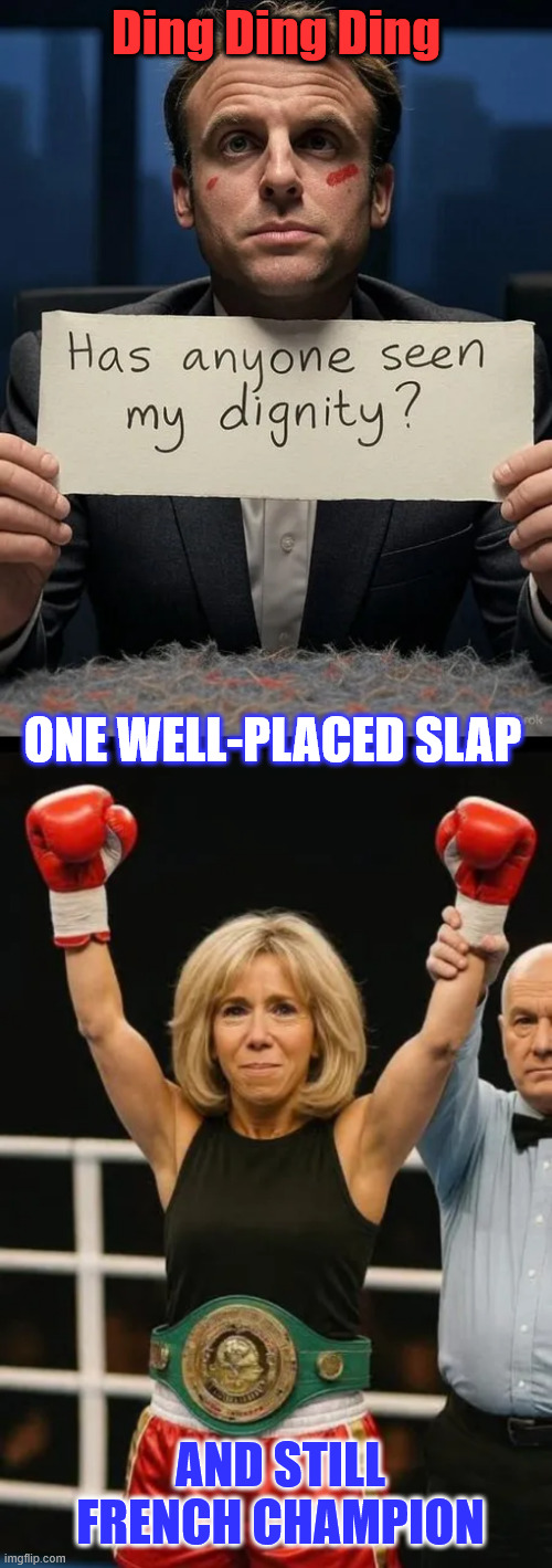 He never had any dignity to lose | Ding Ding Ding; ONE WELL-PLACED SLAP; AND STILL FRENCH CHAMPION | image tagged in macron,cannot lose what you never had | made w/ Imgflip meme maker