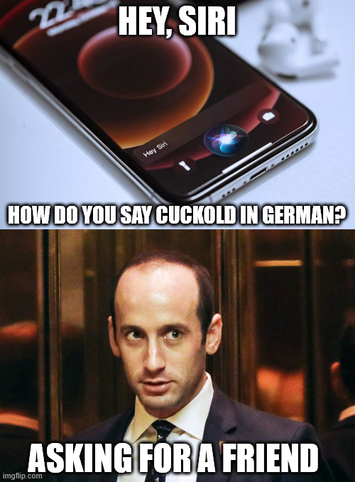 HEY, SIRI; HOW DO YOU SAY CUCKOLD IN GERMAN? ASKING FOR A FRIEND | image tagged in hey siri,stephen miller | made w/ Imgflip meme maker