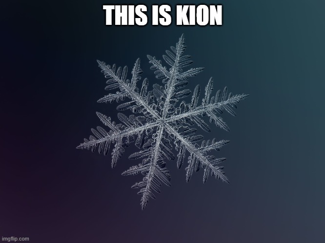 snowflake | THIS IS KION | image tagged in snowflake | made w/ Imgflip meme maker