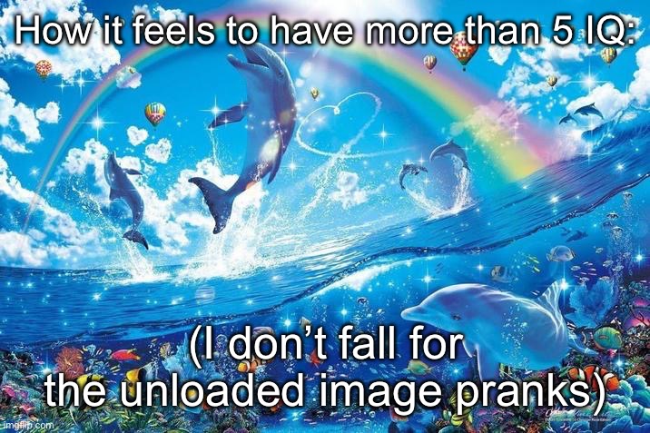 Happy dolphin rainbow | How it feels to have more than 5 IQ:; (I don’t fall for the unloaded image pranks) | image tagged in happy dolphin rainbow | made w/ Imgflip meme maker