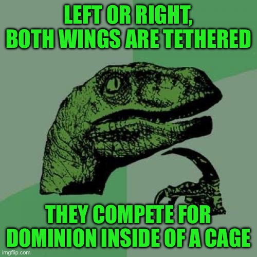 Philosoraptor | LEFT OR RIGHT, BOTH WINGS ARE TETHERED; THEY COMPETE FOR DOMINION INSIDE OF A CAGE | image tagged in memes,philosoraptor | made w/ Imgflip meme maker