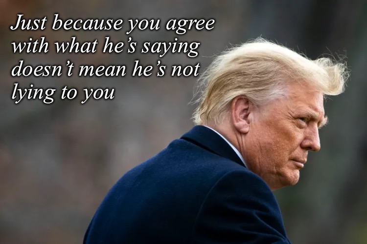 He’s Lying to You ~ Alternate version | Just because you agree
with what he’s saying 
doesn’t mean he’s not 
lying to you | image tagged in trump,lies,fooling you,dictator | made w/ Imgflip meme maker