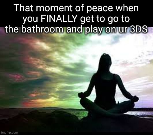 I do NOT fw the family meeting | That moment of peace when you FINALLY get to go to the bathroom and play on ur 3DS | image tagged in yoga,family,party,3ds,ds,so true | made w/ Imgflip meme maker